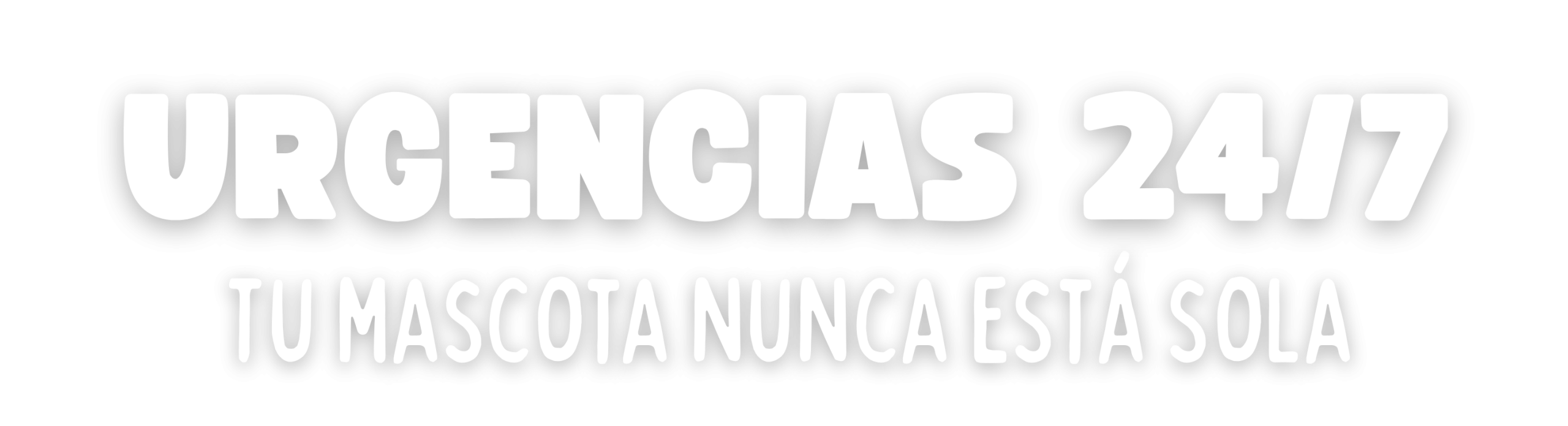 OCTUBRE CLINICA VETERINARIA EL SOL (2)
